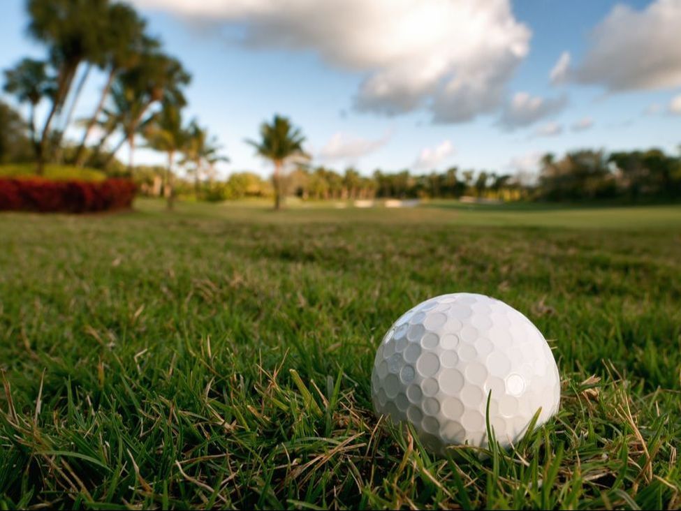 A golf ball sits perched on a tee on a beautiful Florida course.